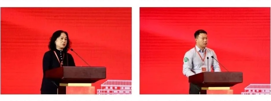 黄色网站